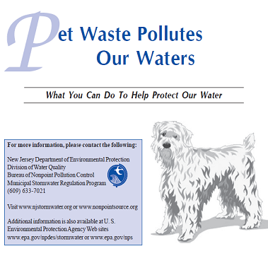 PET WASTE SM